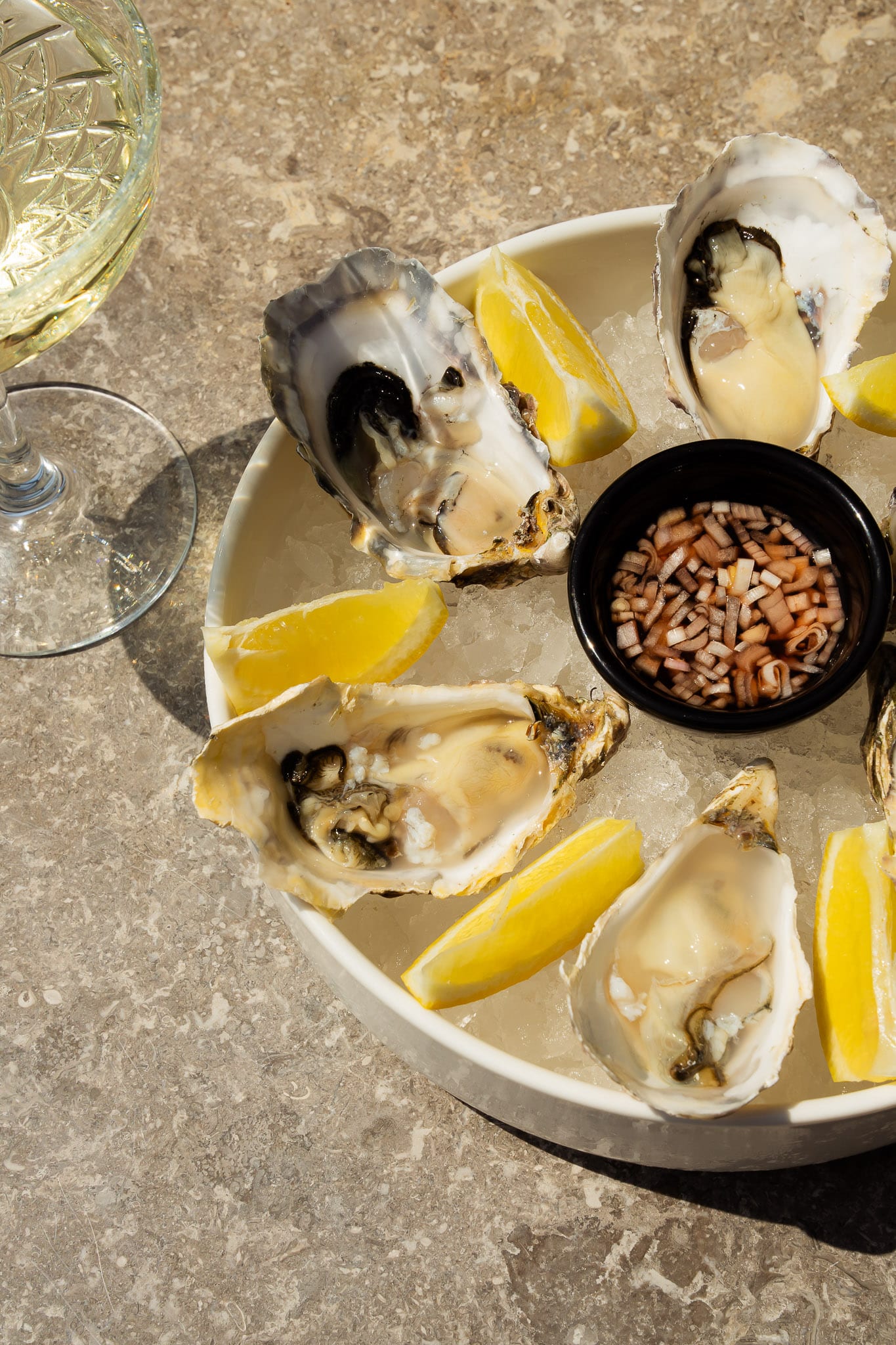 20250613 tomdoms 06605759